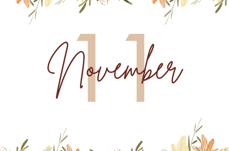 白　ブラウン　ナチュラル　11月のイベント情報　告知　Instagram投稿